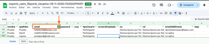 📝Descripción Automática en cambios masivos de usuario_4