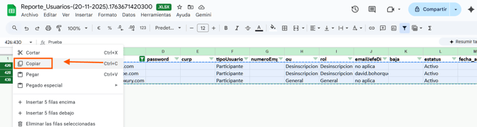 📝Descripción Automática en cambios masivos de usuario_9