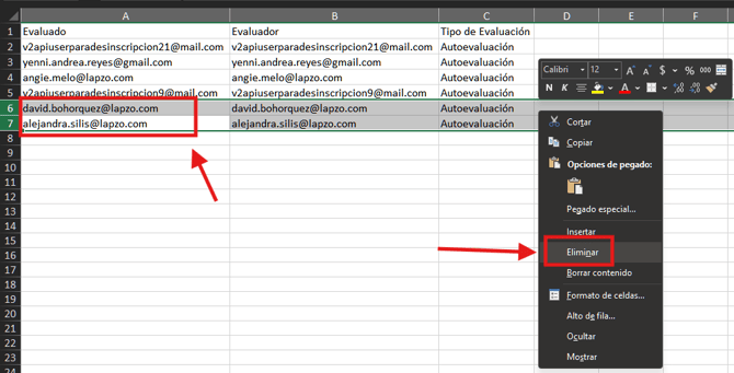 🧩 integración de matrices a evaluaciones_13