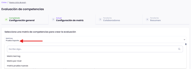 🧩 integración de matrices a evaluaciones_7