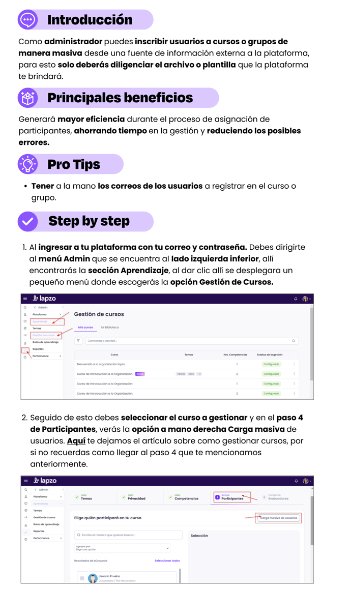 Gestión de Cursos - Carga Masiva 1