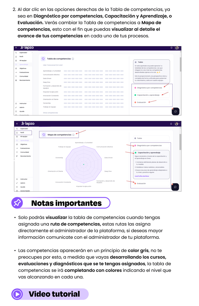 Perfil - Desarrollo (1)-2