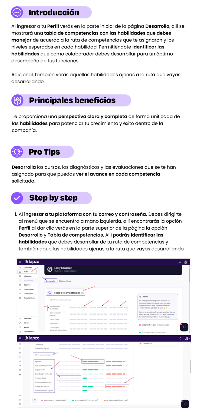 Perfil - Desarrollo (2)-1