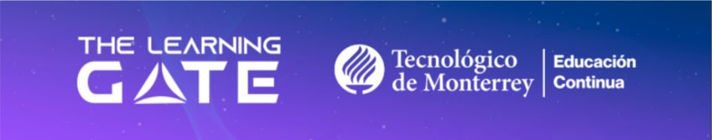 ¿Qué es The Learning Gate?